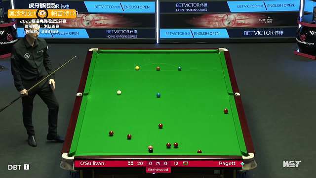 壮的身体优 壮的身体优